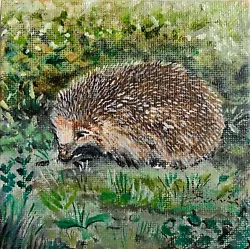 Buy Hedgehog - David Laurence Original Oil On Miniature Canvas Board 4 X 4ins • 0.99£