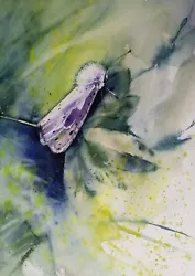 Buy A3 Large Original  Watercolour Animal Painting, Butterfly,  Moth • 15£