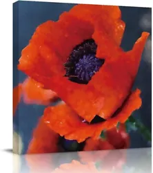 Buy Gredice Canvas Print Wall Art Oil Paintings Red Poppy Flower Picture 24  X  24  • 74.41£