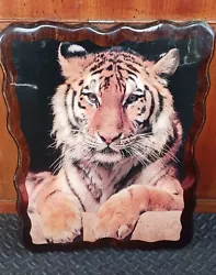 Buy Tiger Picture Inlaid Into Wooden Frame And Varnished • 33.33£