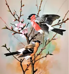 Buy BULLFINCHES IN BLOSSOM TREE. VINTAGE 1960s PRINT OF A  PAINTING BY BASIL EDE • 2.99£