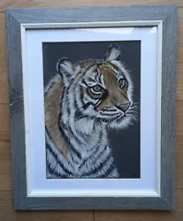 Buy Original Pastel Painting - Tiger. 42cm X 35cm. Framed. • 60£
