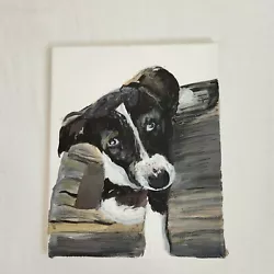 Buy Original Hobbyist Art Painting Pet Border Collie Dog Black White Cute Sweet 8x10 • 12.55£