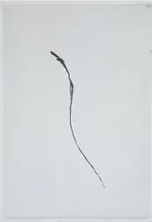 Buy Most Expensive Line In The World Black & White Abstract Modern Wall Art Painting • 3,946.80£