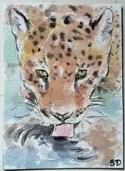 Buy ACEO Original Painting Art Card Animal Tiger 100% Hand Painting • 6.63£