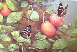 Buy * RED ADMIRAL BUTTERFLIES ON PLUMS * 1980s PRINT OF A  PAINTING BY BENINGFIELD • 2.29£