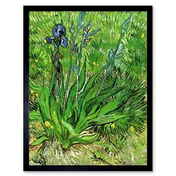 Buy Vincent Van Gogh Iris 1889 Old Master Painting 12X16 Inch Framed Art Print • 11.99£