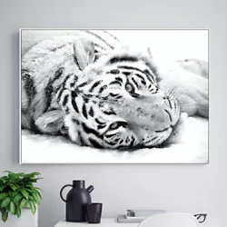 Buy White Tiger Animal Poster Print Canvas Wall Art Picture Nordic Style Painting • 4.48£