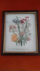 Buy Jane Loudon Framed 1840 Decoupage Ladies Flower Garden • 15£