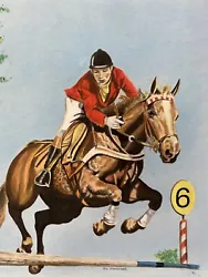 Buy Equestrian HORSE RIDER SHOW JUMPER  Genuine Painting On Board Signed 10 X 14  • 28.40£