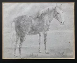 Buy Manner Of James Howe Original Antique Graphite Pencil Drawing Sketch Of A Horse • 55£