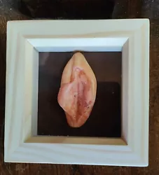 Buy Vulva Sculpture Framed Vagina Sculpture #vivalavulva #jimizart Flesh Tone • 40£