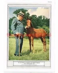 Buy Sir Winston Churchill, With Young Colt, Chartwell, Book Illustration, 1954 • 12.97£