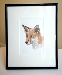 Buy Fox 4 - Original Pen & Watercolour Painting Signed - Mounted 8x10inch By E.C • 30£