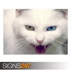 Buy WILD WHITE CAT (3565) Animal Poster - Picture Poster Print Art A0 A1 A2 A3 A4 • 1.10£