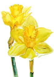 Buy Daffodil Painting Original Watercolour Flowers • 24£