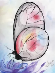 Buy Butterfly - Art Print Of Watercolor Painting - Colorful - Art Of Energy Healing • 23.62£