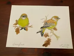 Buy Original Watercolour Painting By T Snelling 2000 Greenfinch 8.25  X 5.75  • 14.99£