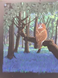 Buy Owl Original Pastel Painting On Board (unframed) Art Direct From Artist.no Res. • 20£