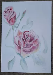 Buy Original A4 Rose Sketch Red Sketch Color Pencil Roses Flower Flower  • 10.28£