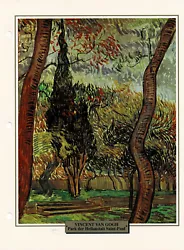 Buy Park Of The Sanitary Institute Of Saint-Paul - Vincent Van Gogh - Info Card • 0.86£