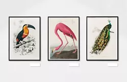 Buy Vintage Birds Set Of 3 Art Prints Painting Living Room Posters Portrait Picture • 19£