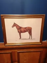 Buy Antique 1920 Watercolour Painting Of A Horse Signed G.E.G • 175£
