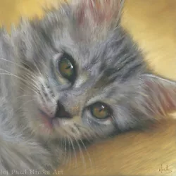Buy ORIGINAL PET PAINTING OF A KITTEN - 14x14  FINE ART PASTEL By PAUL HINKS • 69.99£