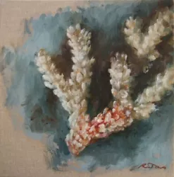 Buy  Coral  Study, Oil On Canvas Board • 50£