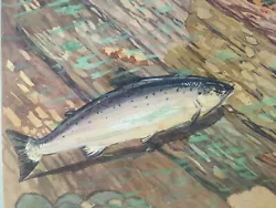 Buy Very Nice Drawing Gouache Fish Trout Arc IN Ciel River 1940 To Identify • 90.17£
