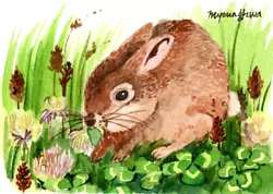Buy ACEO Limited Edition Rabbit Cute Animal Art Print Of A Watercolor Nature Lover • 4.98£