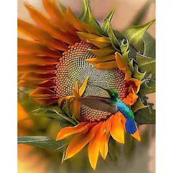 Buy DIY Paint By Numbers Oil Canvas Pictures Artwork Hummingbird Sunflower Kit Craft • 7.55£