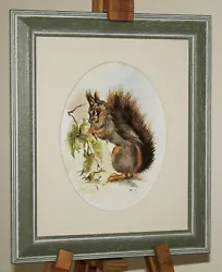 Buy VALERIE (20th Century) Wildlife Watercolour Painting Of A Foraging Red Squirrel • 119£