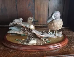 Buy Geoffrey& Joanie Skeete, Barbados W.i, Mounted Bird Duck Sculpture -collect Only • 100£