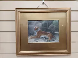 Buy Antique Tiger Watercolour Painting Fred Thomas Smith 1898  A Recumbent Tiger  • 295£