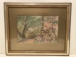 Buy Antique 1906 Watercolour Painting Woodland Flowers Scene- Signed Framed • 50£