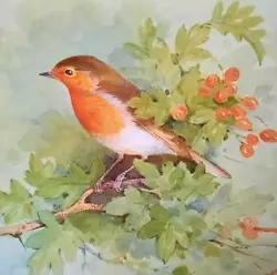 Buy ** Robin In Hawthorn Tree ** Print Of A Painting By Beningfield • 2.39£