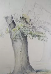 Buy Original Watercolour, 'Tree Study', C1880, Artist Unknown • 29£