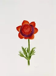 Buy La Roche Laffitte - Painting Original - Watercolour - Flower Red • 516.49£