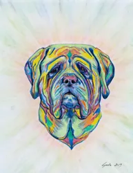 Buy Multi Coloured BULL MASTIFF Print - Rainbow - Mastiff - Dog Portrait - Happy • 9.99£