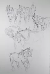 Buy Original Pencil Sketch,'Study Of Heavy Horses', Helen Collins (1921-1990) • 44£