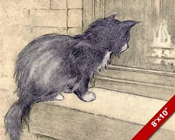 Buy Looks Warm Inside Fireplace Cat Kitten Pet Animal Art Painting Real Canvas Print • 14.17£