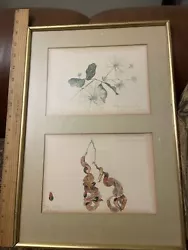 Buy Babs Brown Sketched & Water Colored Art Signed & Titled And Framed • 212.62£