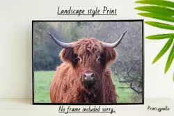 Buy Highland Cow A4 Print Picture Poster Wall Art Home Decor Unframed Gift New • 3.99£