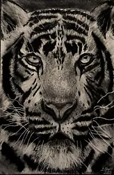 Buy Tiger Painting *Limited Edition  • 54£