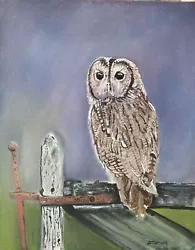 Buy Tawny Owl Bird Of Prey Wildlife • 86£