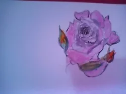 Buy Hand Drawn Postcard With. Beautiful. Rose Art  • 1£