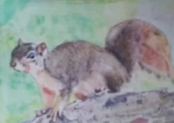 Buy Aceo Art Card 2.5 X 3.5 Inch Squirrel Nature Watercolour Pencil PaintingWildlife • 3.50£