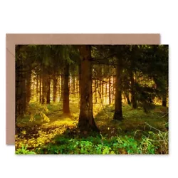 Buy Birthday Painting Sunlit Forest Floor Blank Greeting Card With Envelope • 4.42£