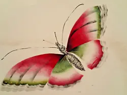 Buy Vintage Original Painting Of Butterfly / Moth For Framing 7  X 6  • 3£